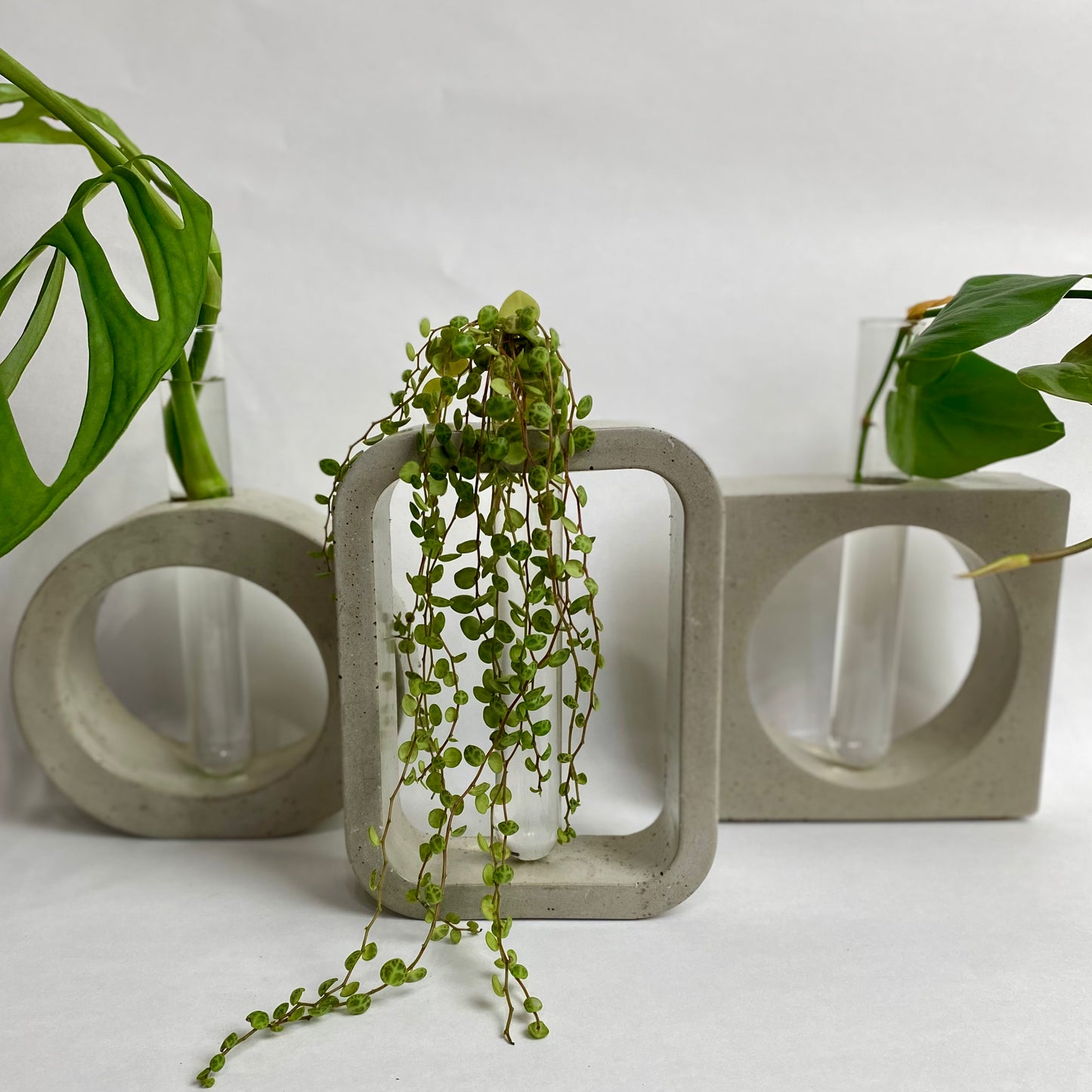 Propagation Station